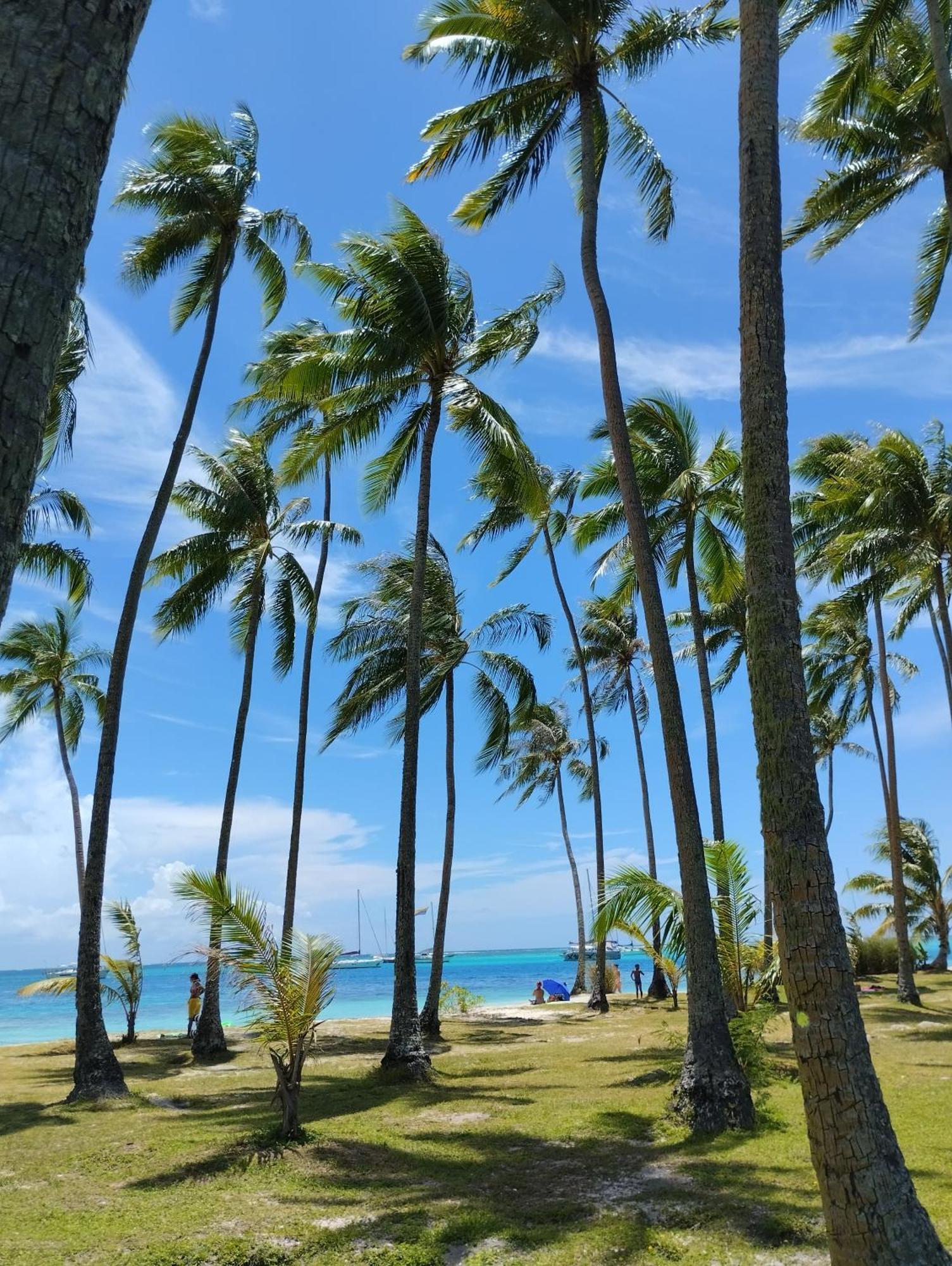 Tema'E Beach House Temae Esterno foto