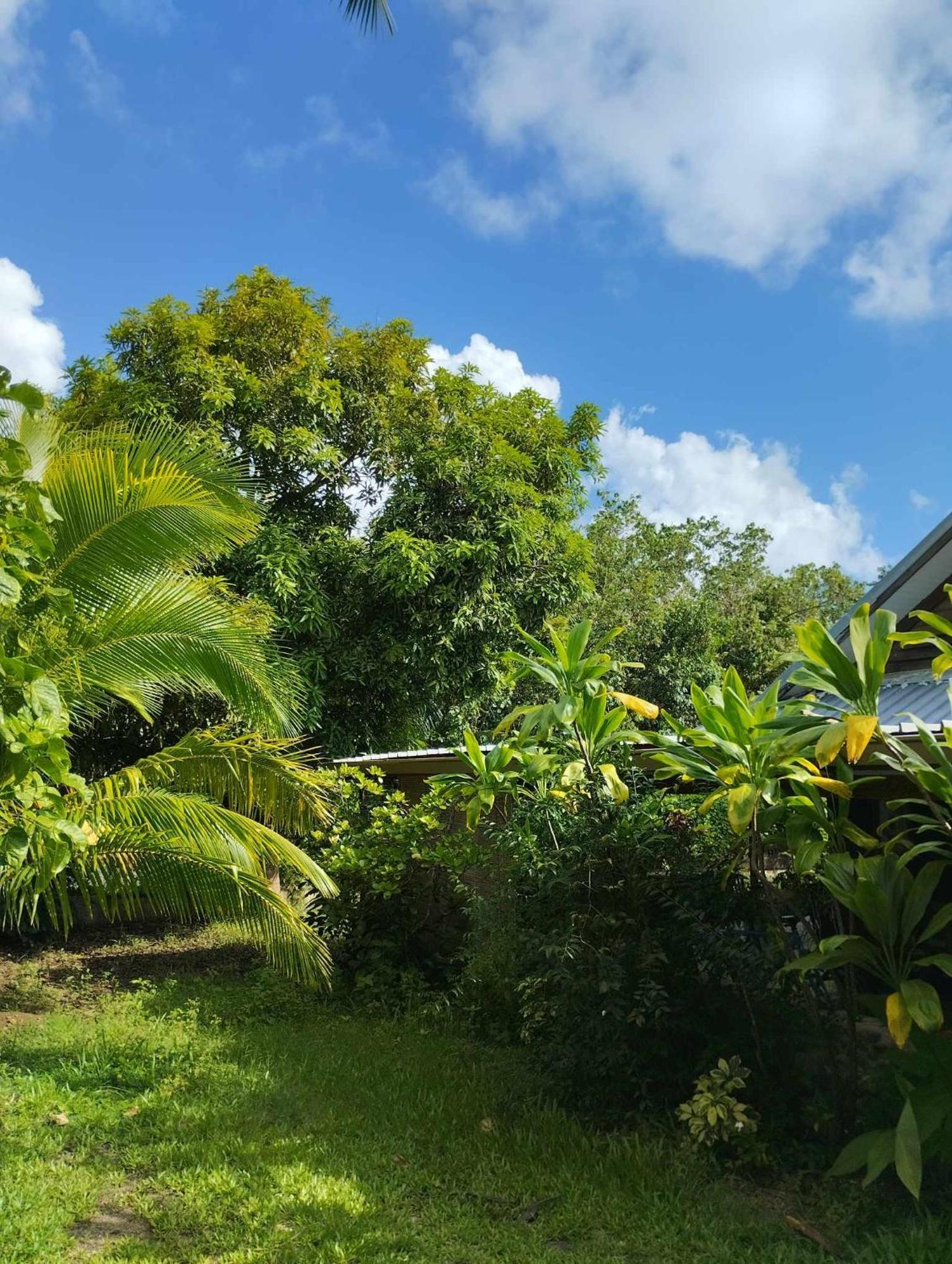 Tema'E Beach House Temae Esterno foto