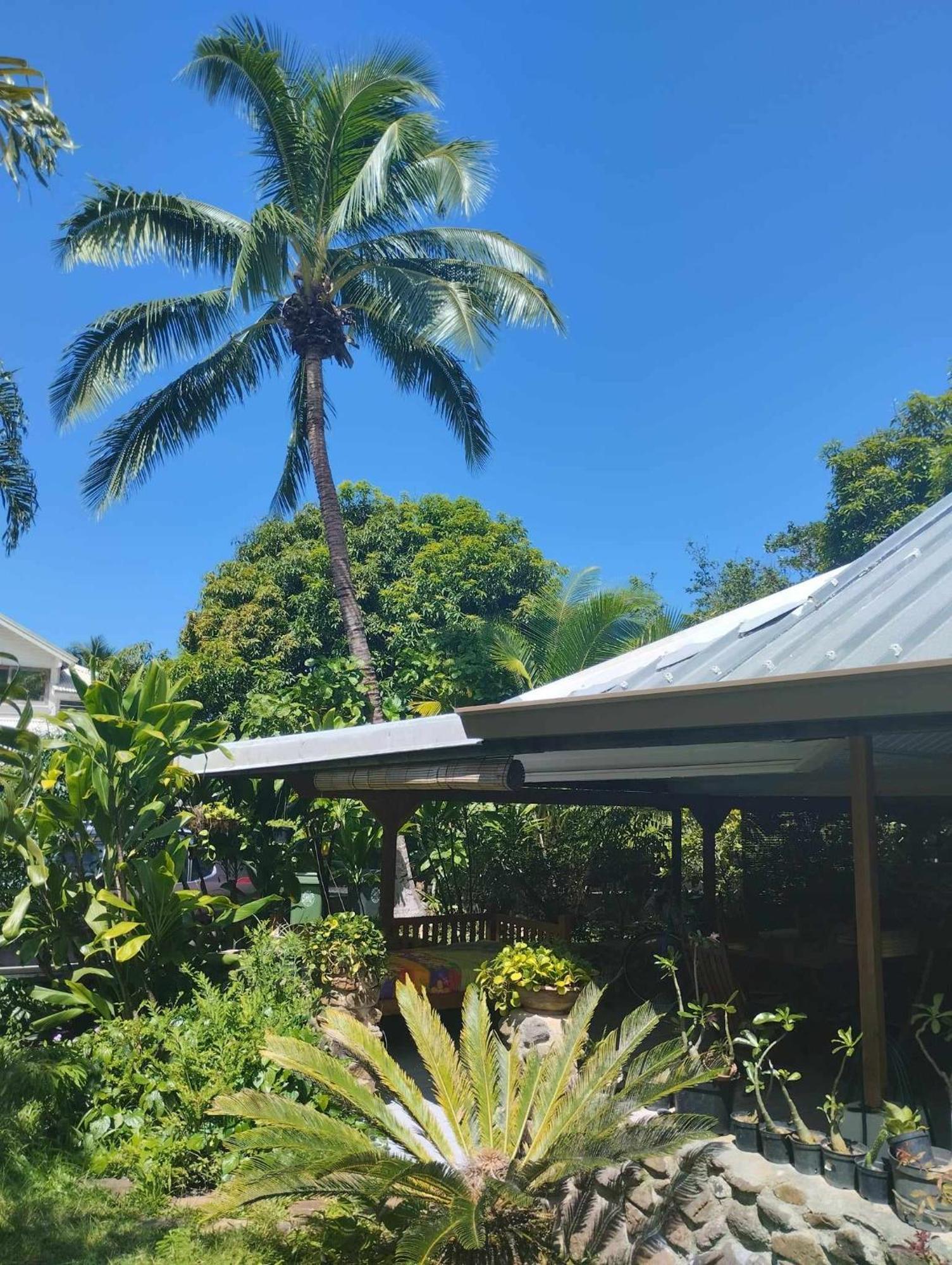 Tema'E Beach House Temae Esterno foto