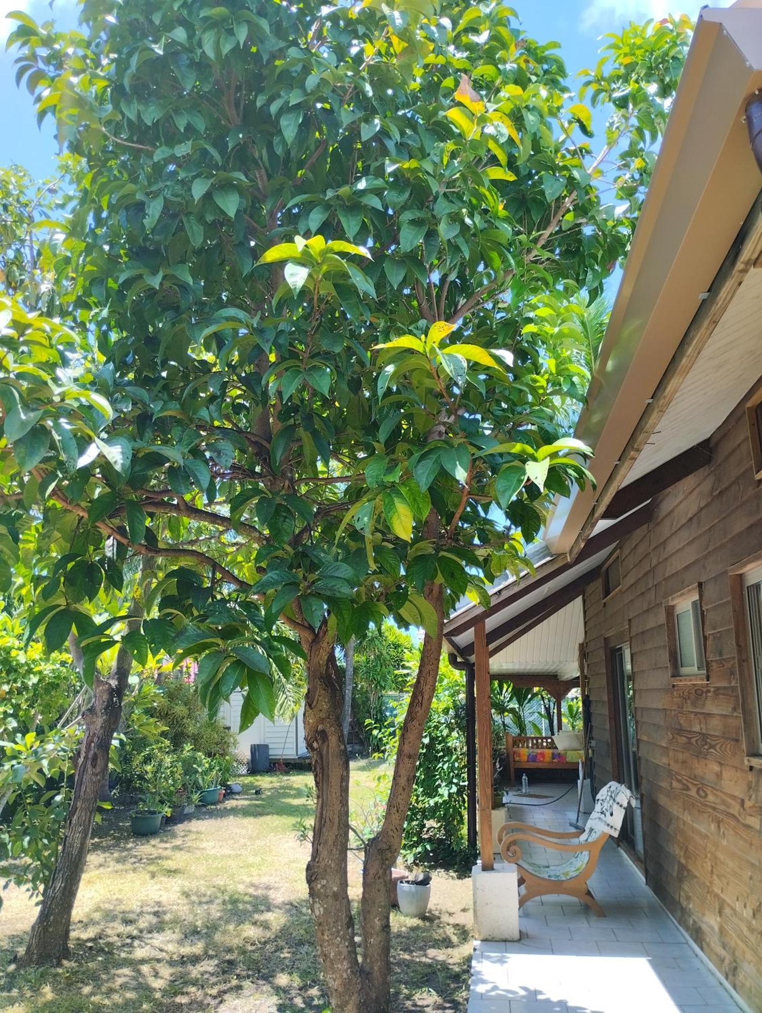 Tema'E Beach House Temae Esterno foto