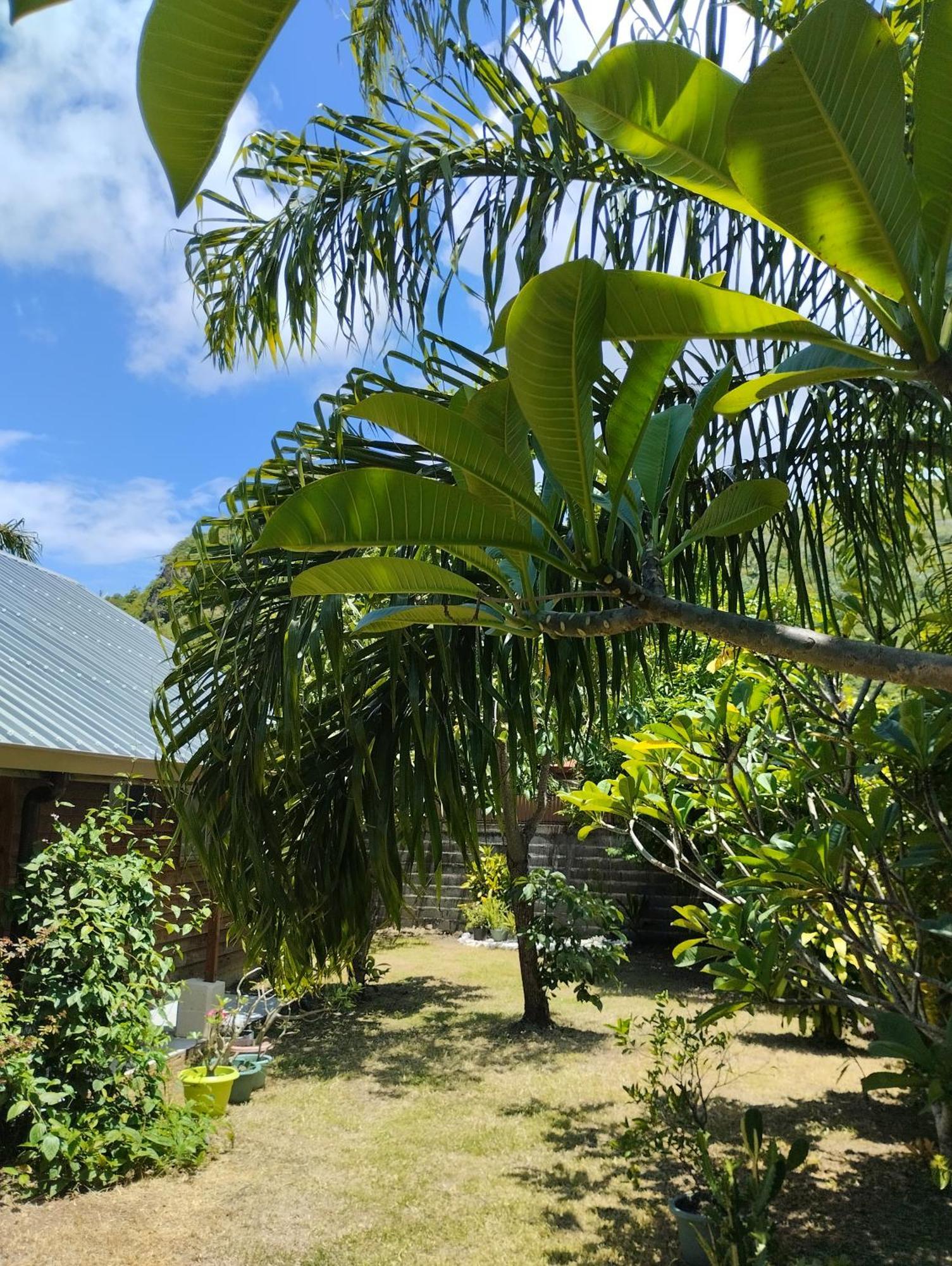 Tema'E Beach House Temae Esterno foto